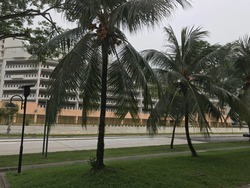 Blk 392 Yishun Avenue 6 (Yishun), HDB Executive #173299852